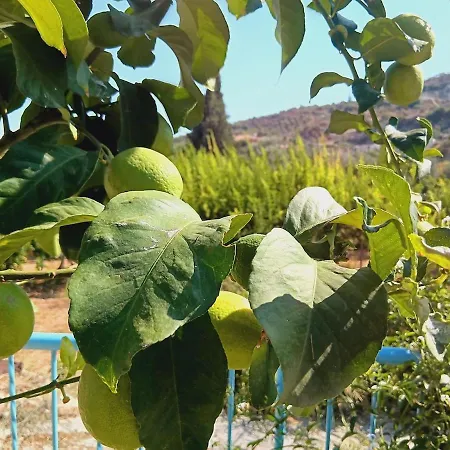 The Almond House Traditional Mountain Retreat With Orchard Views * Limnatis