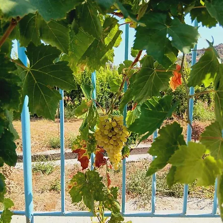 Holiday home The Almond House Traditional Mountain Retreat With Orchard Views Limnatis