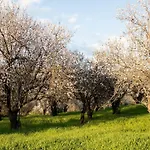 The Almond Mountain Holiday home Limnatis