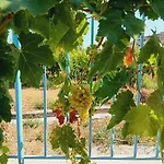 Holiday home The Almond Mountain Limnatis